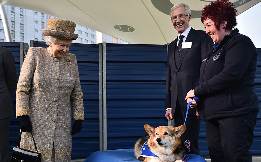 Η βασίλισσα Ελισάβετ κοιτάζει ένα κόργκι Η βασίλισσα Ελισάβετ κοιτάζει ένα κόργκι