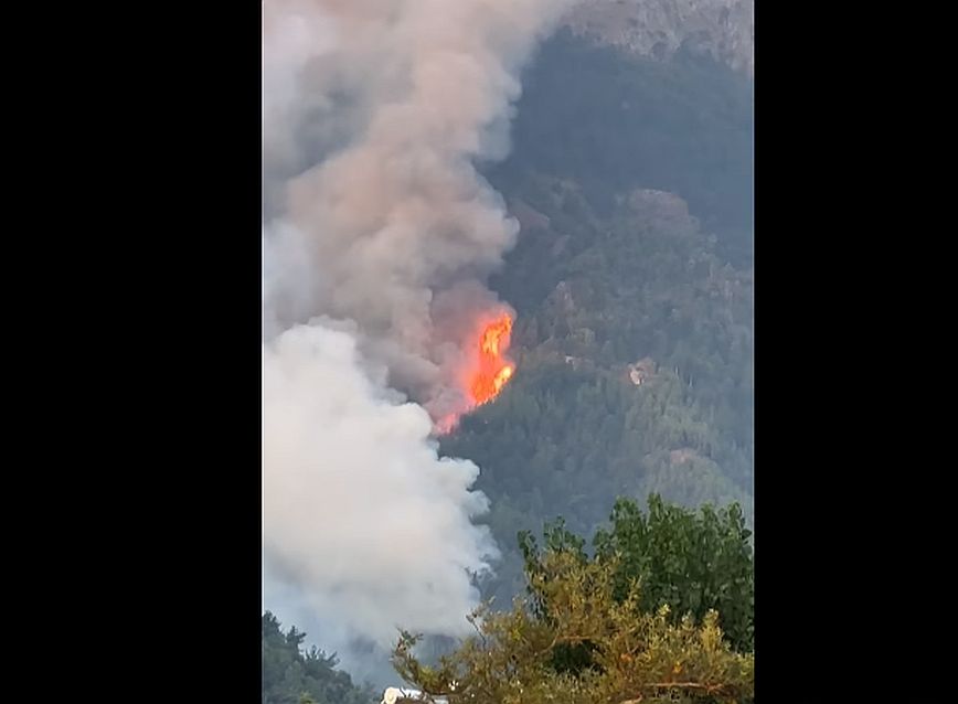 Φωτιά στη Θάσο: Μάχη με τις φλόγες δίνουν οι δυνάμεις πυρόσβεσης 