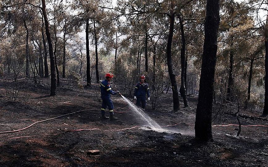 ΚΚΕ: Επείγει ένα ολοκληρωμένο σχέδιο προστασίας του Σέιχ Σου