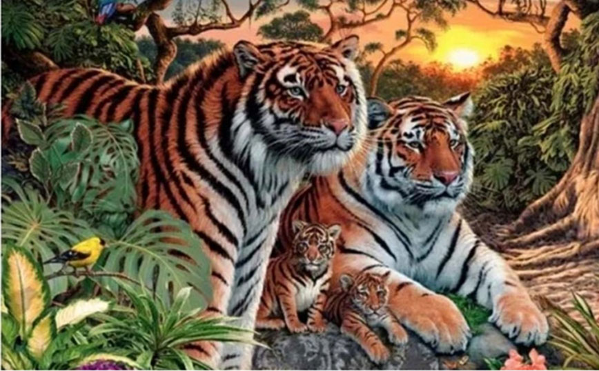 Οι τίγρεις που φαίνονται τέσσερις αλλά είναι τελικά&#8230; δεκαέξι