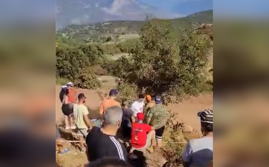 Θεατής έκοψε ελιά γιατί δεν έβλεπε το Ράλλυ Ακρόπολις