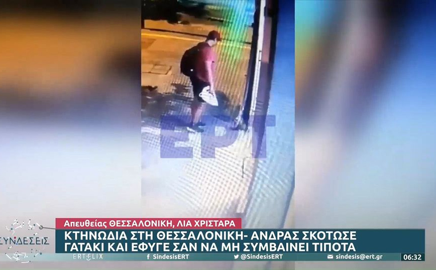Θεσσαλονίκη: Δικηγόρος φέρεται να είναι ο 39χρονος που ποδοπάτησε και σκότωσε γατάκι