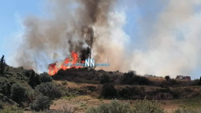 Φωτιά στη Ναυπακτία: Ενισχύονται διαρκώς οι δυνάμεις της Πυροσβεστικής