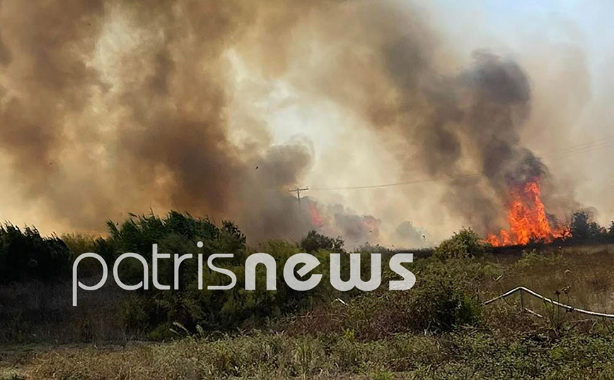 Φωτιά τώρα στον Πύργο &#8211; Λιποθύμησε πυροσβέστης