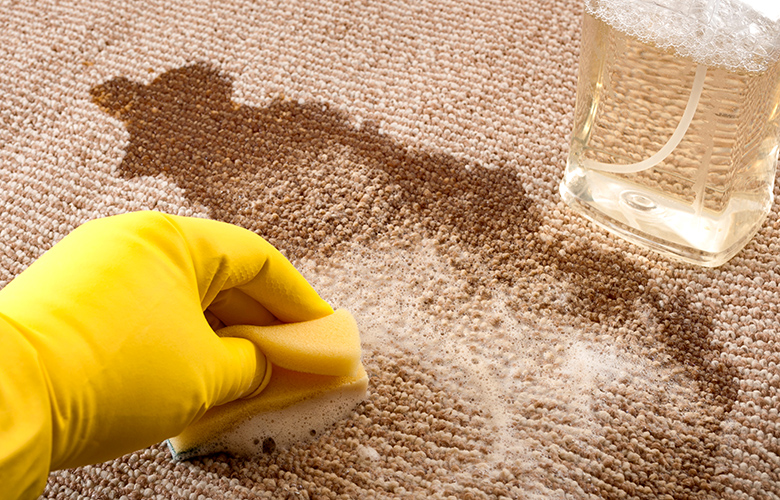 Λεκές από καφέ σε χαλί Λεκές από καφέ σε χαλί