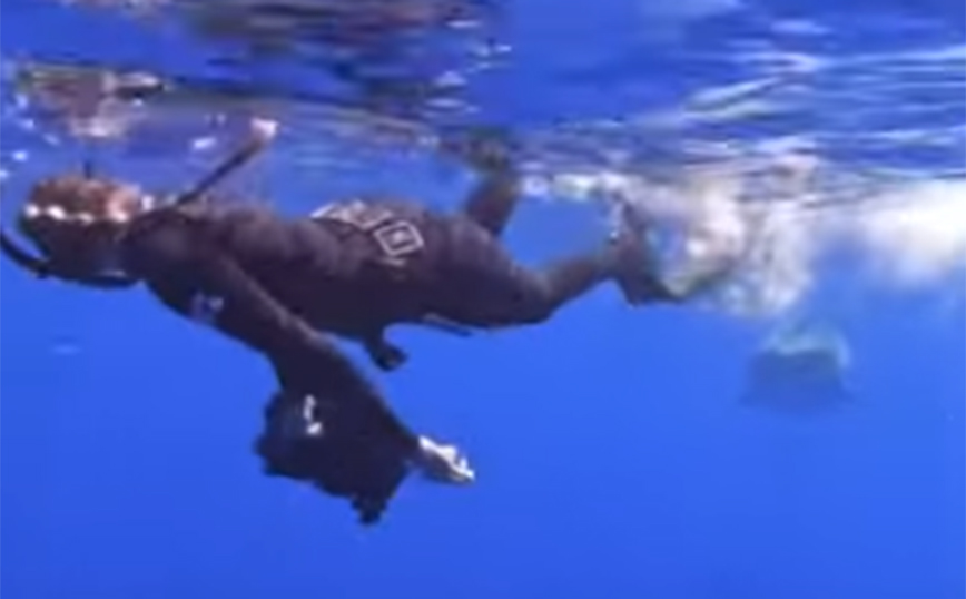 Όταν συναντάς καρχαρία και έχεις εμπειρία και&#8230; ψυχραιμία