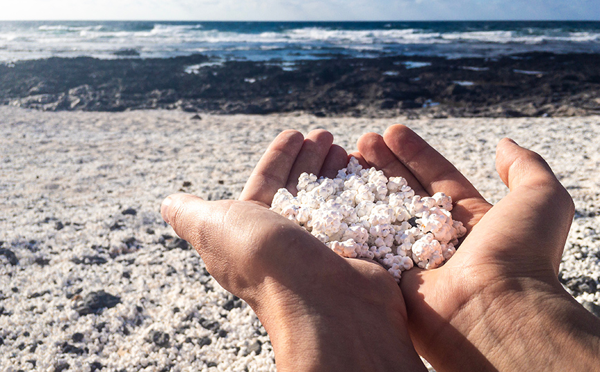 Κοράλια σαν ποπ κορν στα Κανάρια νησιά