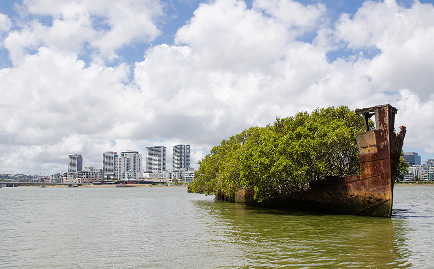 Πλωτό δάσος Αυστραλία