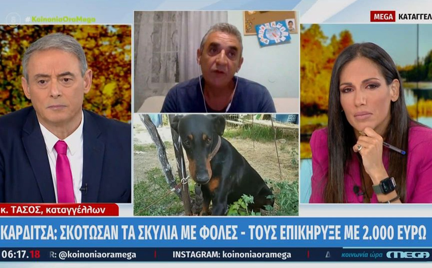 Καρδίτσα: Δολοφόνησαν με φόλες δύο σκυλιά του – Τους επικήρυξε με 2.000 ευρώ