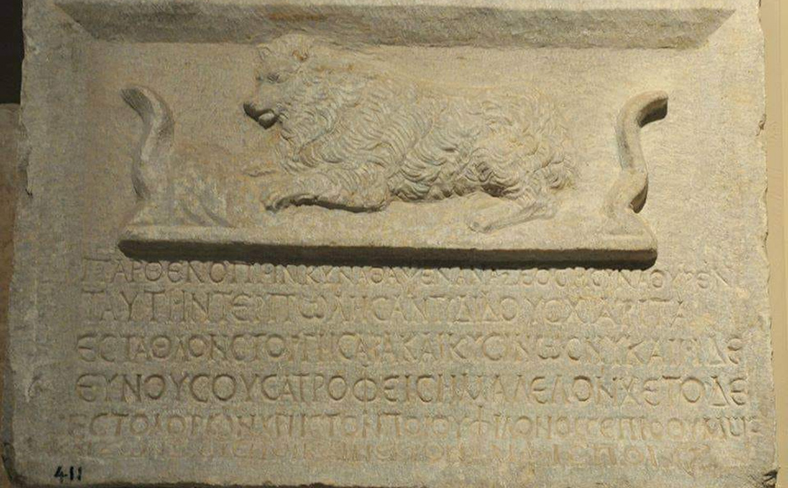 Μυτιλήνη: Τάφος σκυλίτσας στην αρχαία ακρόπολη αποδεικνύει ότι ο σκύλος ήταν πάντα ο καλύτερος φίλος του ανθρώπου