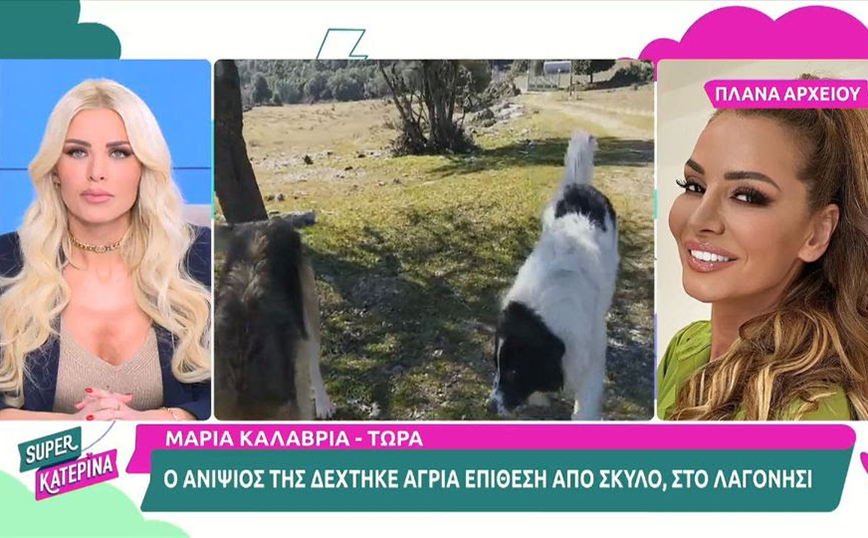 Λαγονήσι: Ανιψιός της Μαρίας Καλάβρια ο 14χρονος που δέχθηκε επίθεση από σκύλο &#8211; «Το παιδί είναι σοκαρισμένο»