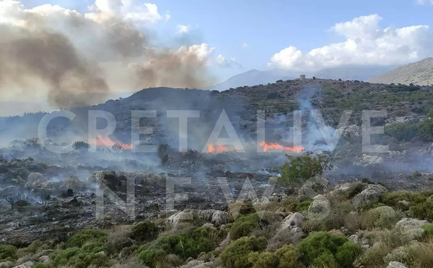 Κρήτη: Φωτιά για έκτη φορά στο δάσος της Κέρης