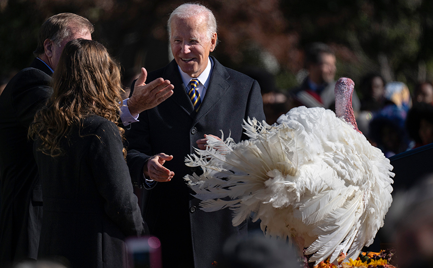 Μπάιντεν και γαλοπούλες Μπάιντεν και γαλοπούλες