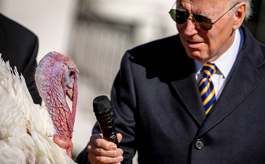 Μπάιντεν και γαλοπούλες Μπάιντεν και γαλοπούλες