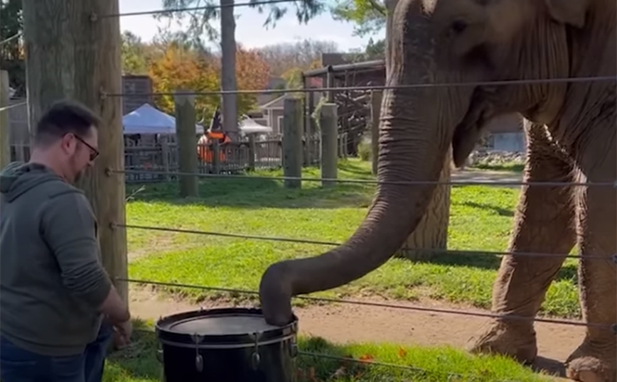 Επιτυχίες και αστοχίες σε μία συλλογή