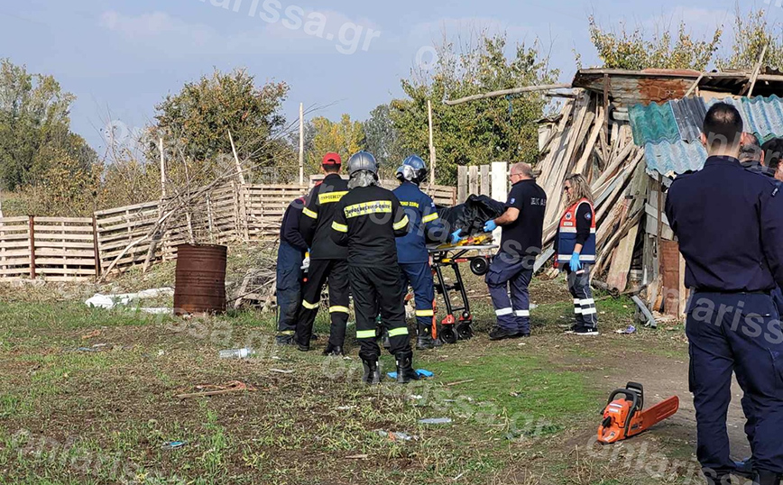 Τραγωδία στη Λάρισα: Δέντρο καταπλάκωσε και σκότωσε γυναίκα