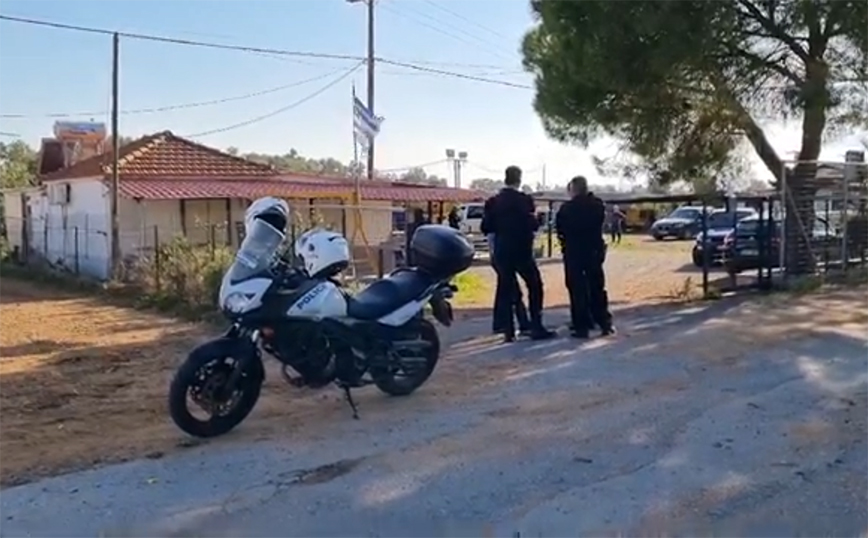 Γυναικοκτονία στη Μεσσήνη: «Αυτό που έχει συμβεί είναι συγκλονιστικό» – Τι λέει γείτονας του ζευγαριού