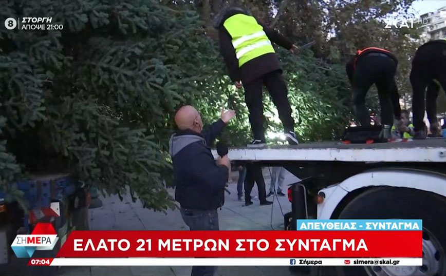 Σύνταγμα: Έφτασε το χριστουγεννιάτικο δέντρο από το Καρπενήσι &#8211; Έχει ύψος 21 μέτρα και βάρος 6 τόνους