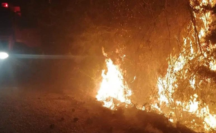 Οριοθετήθηκε η φωτιά στη Λέσβο: Κάηκαν 10 στρέμματα, τραυματίστηκε ένας πυροσβέστης