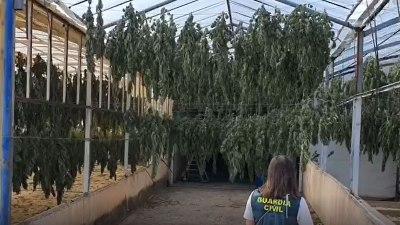 Ισπανία: Η αστυνομία κατέσχεσε την μεγαλύτερη ποσότητα μαριχουάνας που έχει ποτέ βρεθεί παγκοσμίως