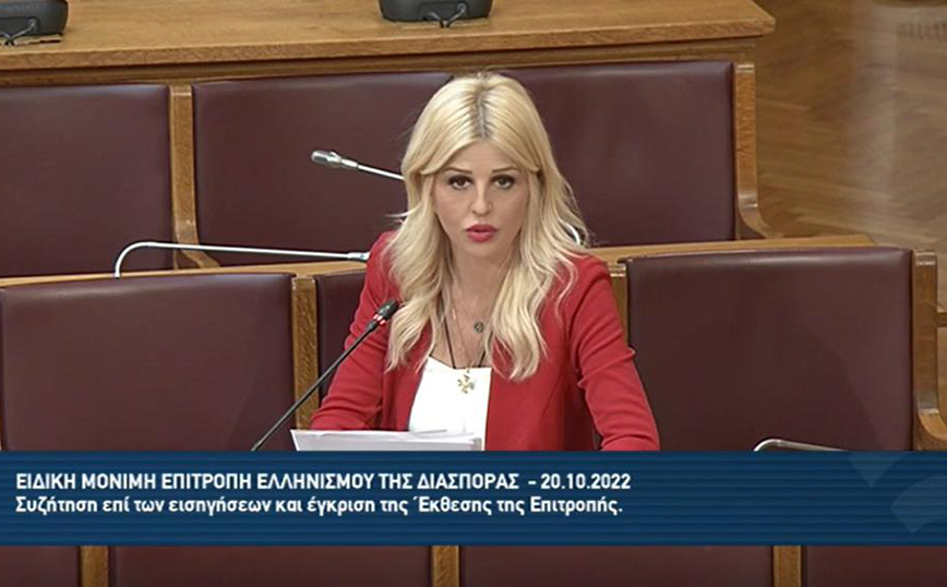 Η Έλενα Ράπτη συμμετείχε στη συνεδρίαση της Ειδικής Μόνιμης Επιτροπής Ελληνισμού της Διασποράς