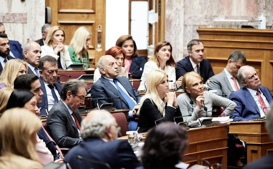 H Έλενα Ράπτη εισηγήθηκε το Εθνικό Σχέδιο Δράσης για την προστασία των παιδιών από τη σεξουαλική κακοποίηση και εκμετάλλευση