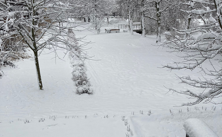 Σουηδία: Από τους 16,7 βαθμούς στο ψύχος &#8211; Τα πάντα καλύφθηκαν από το χιόνι