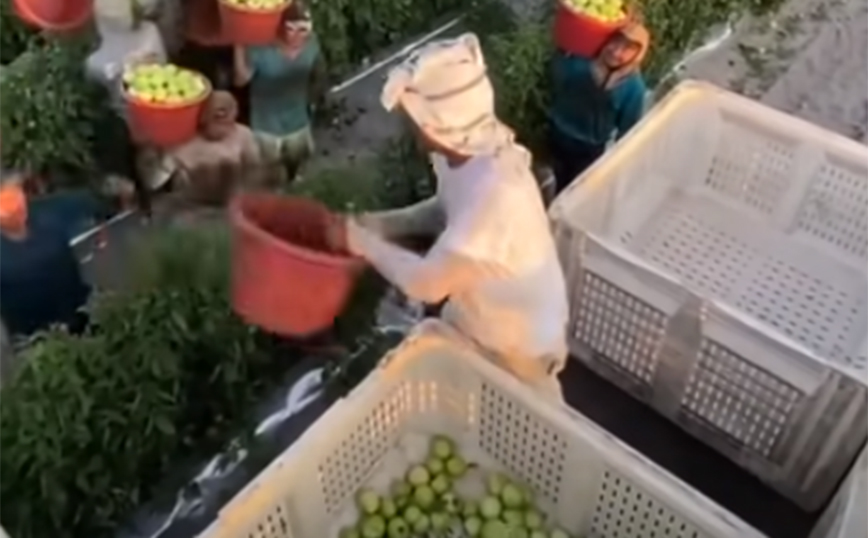 Εργαζόμενοι με ταλέντο και αρκετή ταχύτητα