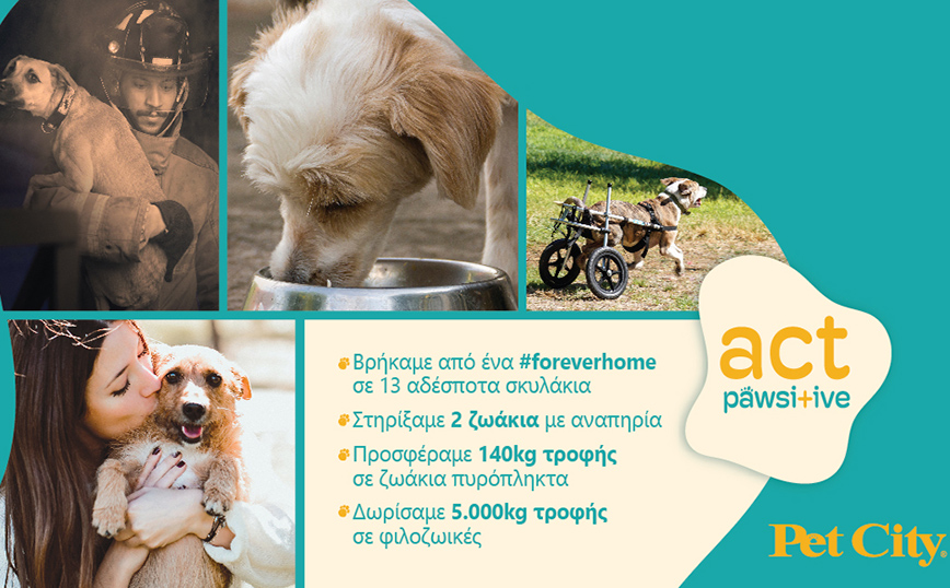 Τα Pet City με τη δράση Act Pawsi+ive στο κέντρο της φιλοζωίας