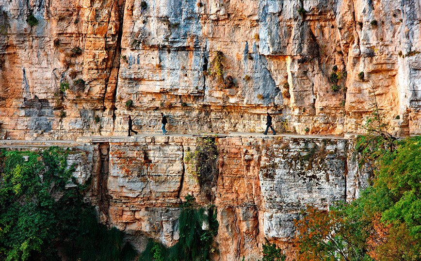 Μονοδένδρι
