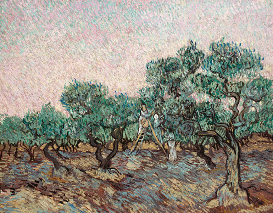 Ο Πίνακας του Βαν Γκογκ, Η συγκομιδή της ελιάς Ο Πίνακας του Βαν Γκογκ, Η συγκομιδή της ελιάς