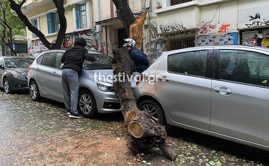 Κακοκαιρία Άριελ &#8211; Θεσσαλονίκη: Έπεσαν δέντρα πάνω σε αυτοκίνητα, χωρίς ρεύμα αρκετές περιοχές