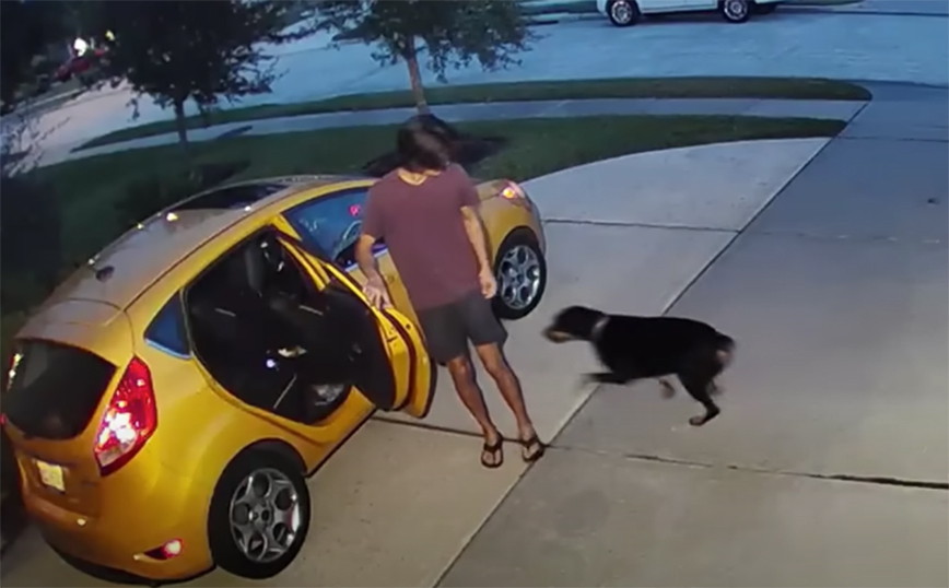 Βιντεάκια του 2022 που ξεχώρισαν