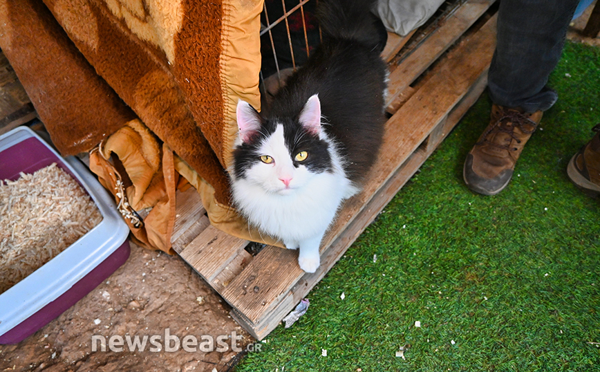 VROUVA FARM VROUVA FARM