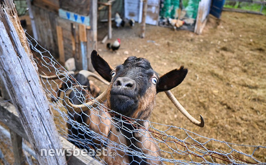 VROUVA FARM VROUVA FARM