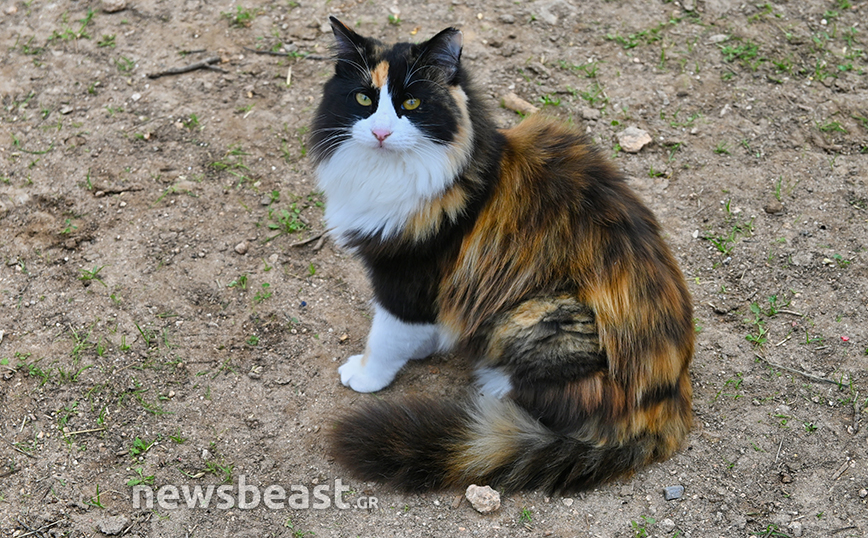 VROUVA FARM VROUVA FARM