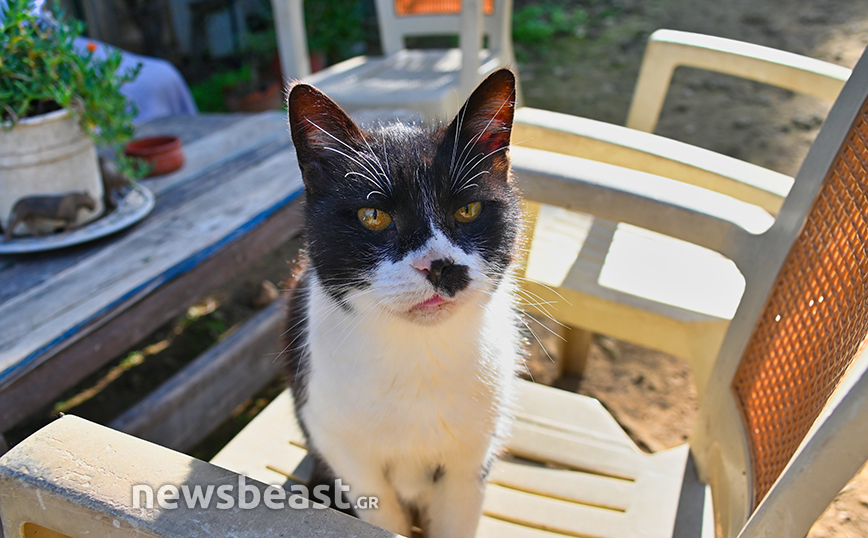 VROUVA FARM VROUVA FARM