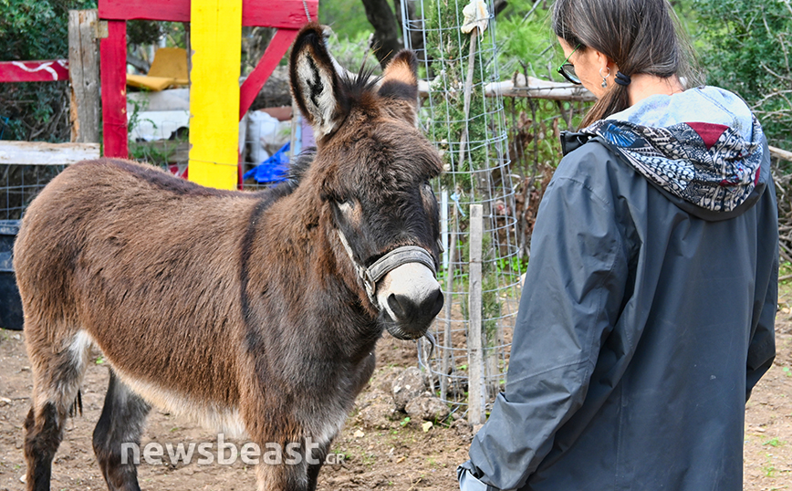VROUVA FARM VROUVA FARM