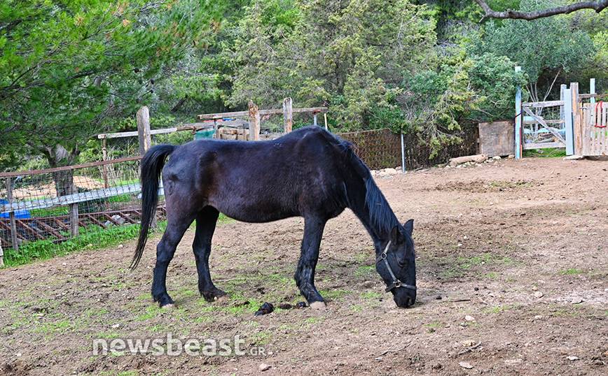 VROUVA FARM VROUVA FARM