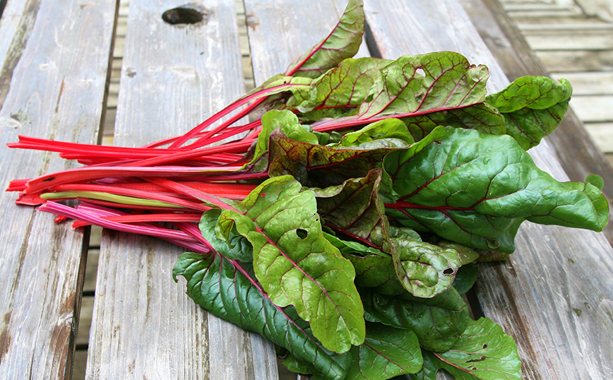Αυτά είναι τα πιο υγιεινά λαχανικά του χειμώνα Αυτά είναι τα πιο υγιεινά λαχανικά του χειμώνα