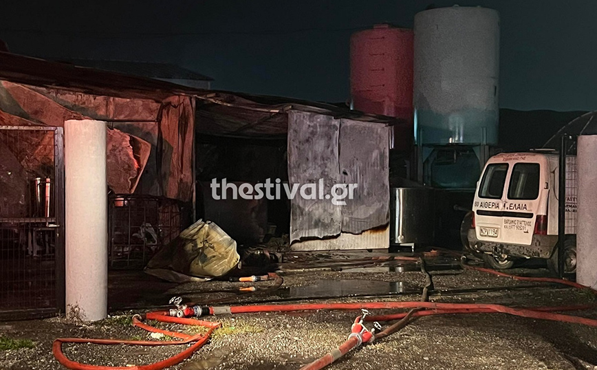 Θεσσαλονίκη: Φωτιά σε επιχείρηση με αιθέρια έλαια – Στο Παπαγεωργίου ένας άνδρας με πολλαπλά εγκαύματα