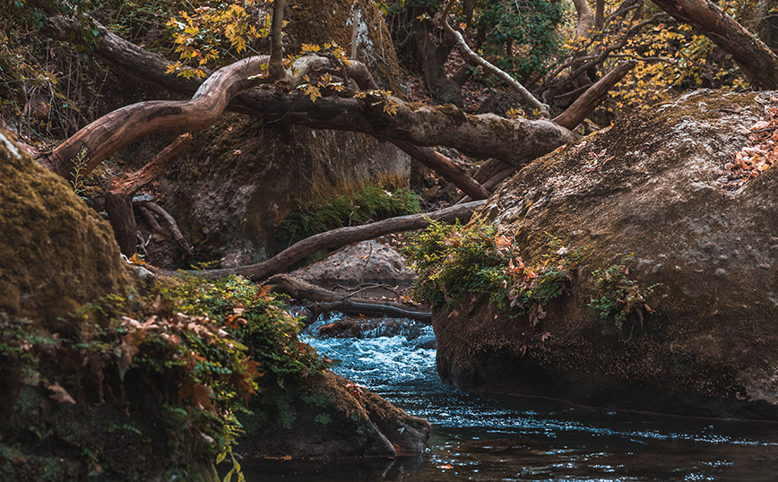 Φαράγγι Βουραϊκού Φαράγγι Βουραϊκού