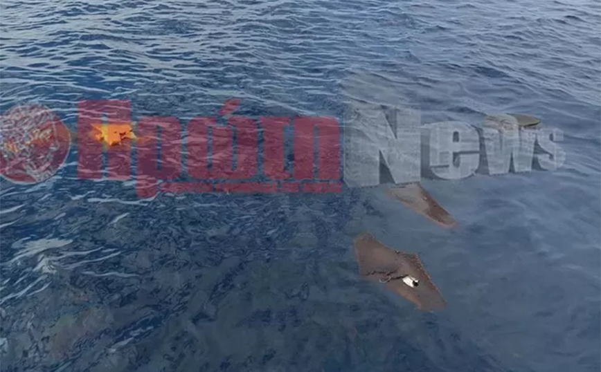 Εντοπίστηκαν συντρίμμια από το μαχητικό F-4 που έπεσε ανοιχτά της Ανδραβίδας, οι πρώτες εικόνες – Αγωνία για τους δύο ιπτάμενους