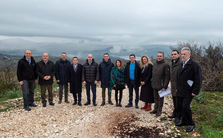 Παπαστράτος: Απολογισμός του 1ου ολοκληρωμένου προγράμματος αναδάσωσης στην Αττική, 1 χρόνο μετά την έναρξή του