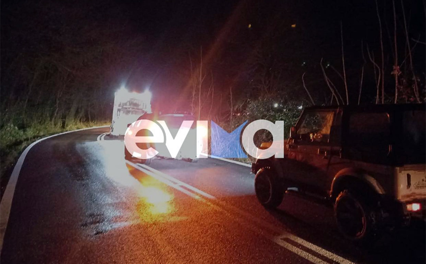 Σοβαρά προβλήματα από την κακοκαιρία στην Εύβοια – Ανεμοστρόβιλος ξήλωσε δέντρα