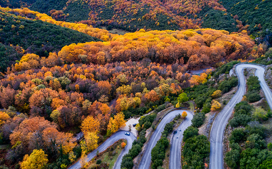 Το φαράγγι του Βίκου