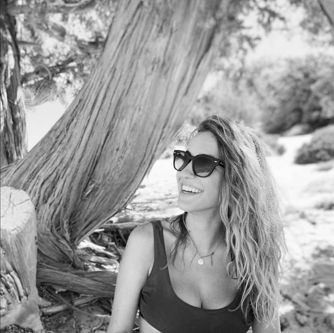 Γαρυφαλλιά Γαρυφαλλιά