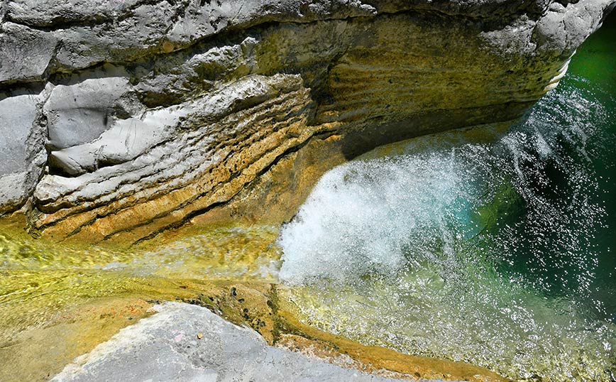 Πάπιγκο Πάπιγκο