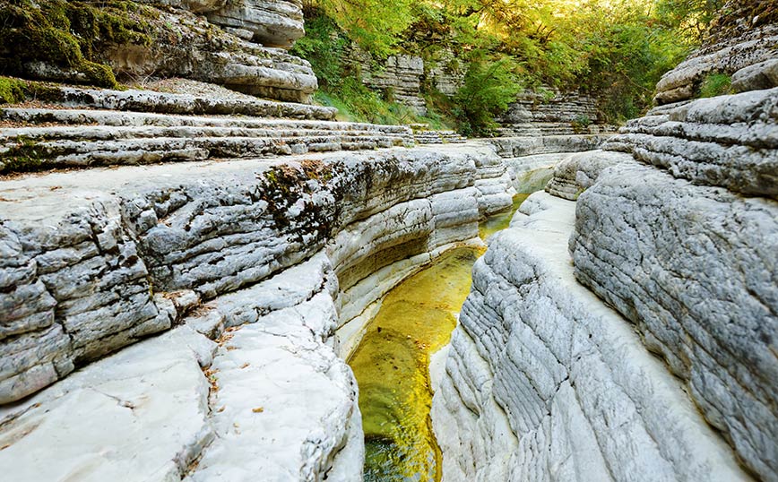 Πάπιγκο Πάπιγκο