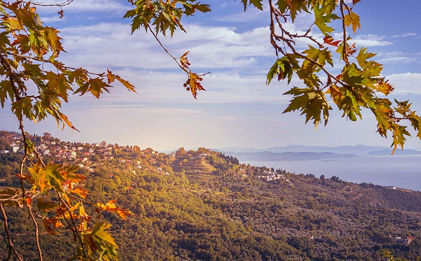 Πορταριά, Πήλιο Πορταριά, Πήλιο